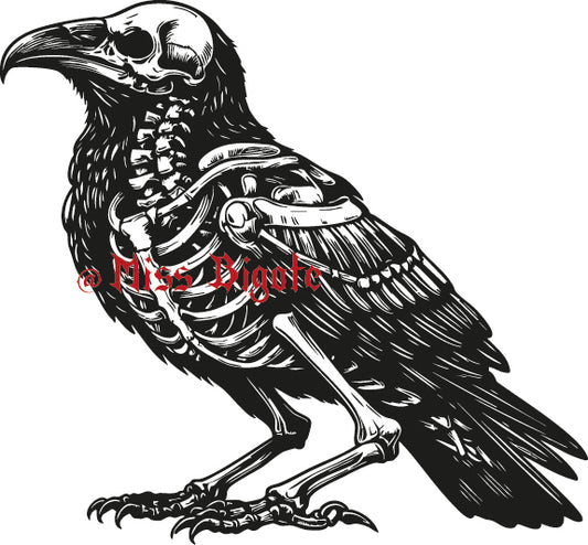 Illustration corbeau squelette