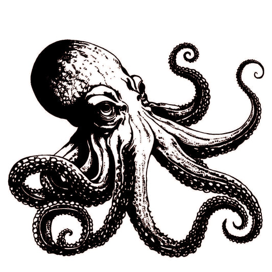 Illustration poulpe